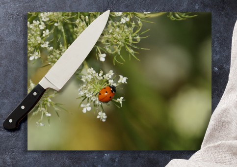Planche à  découper Coccinelle