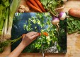 Planche à  découper Sous-bois