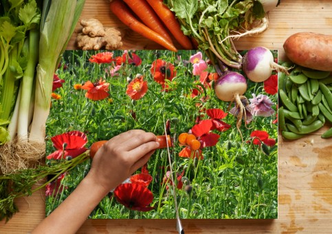 Planche à  découper Coquelicots