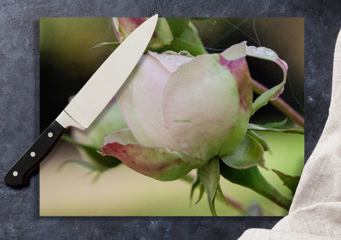 Planche à  découper Rose Pierre de Ronsart 2015