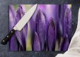 Crocus