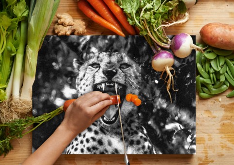 Planche à  découper Portrait de Guépard 