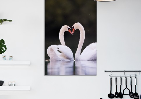 Tableaux personnalisés  Coeur de cygne