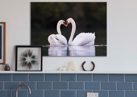 Tableaux personnalisés  Coeur de cygne