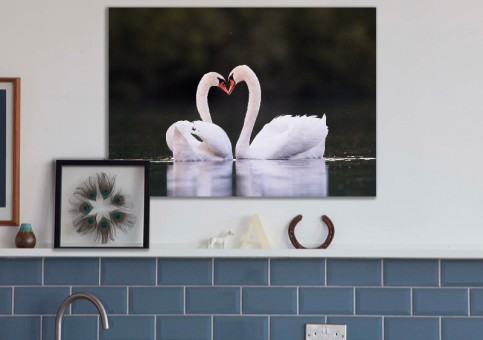 Tableaux personnalisés  Coeur de cygne