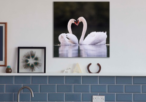 Tableaux personnalisés  Coeur de cygne