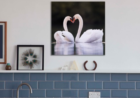 Tableaux personnalisés  Coeur de cygne