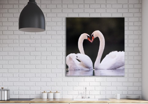 Tableaux personnalisés  Coeur de cygne