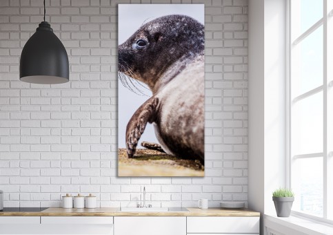 Tableaux personnalisés  Phoque