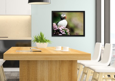 Tableaux personnalisés  Macareux et fleurs