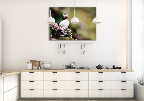 Tableaux personnalisés  Macareux et fleurs