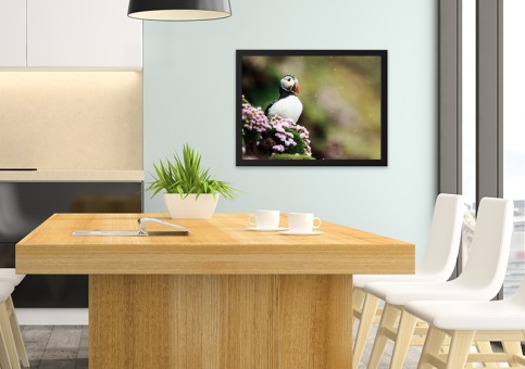 Tableaux personnalisés  Macareux et fleurs