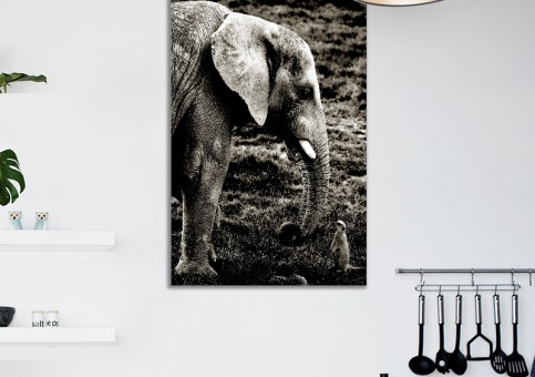 Tableaux personnalisés  Eléphant et suricate
