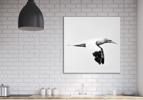 Tableaux personnalisés  Fou de Bassan 3