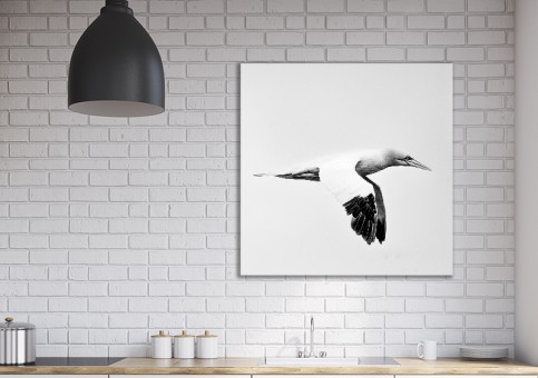 Tableaux personnalisés  Fou de Bassan 3