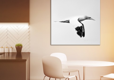 Tableaux personnalisés  Fou de Bassan 3