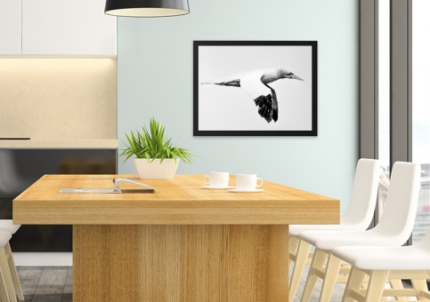 Tableaux personnalisés  Fou de Bassan 3