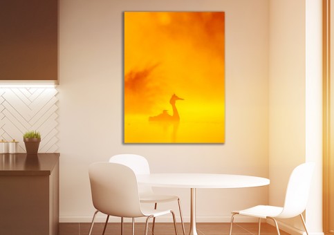 Tableaux personnalisés  Grà¨be huppé