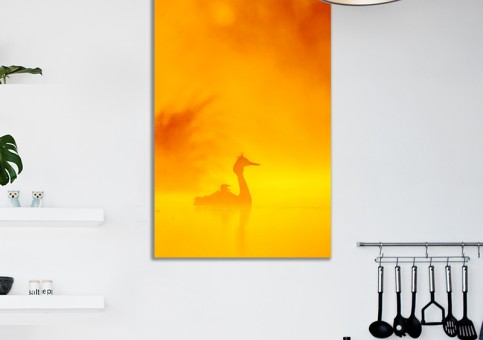 Tableaux personnalisés  Grà¨be huppé