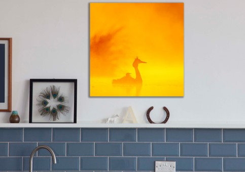 Tableaux personnalisés  Grà¨be huppé