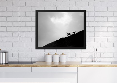 Tableaux personnalisés  Chamois 2