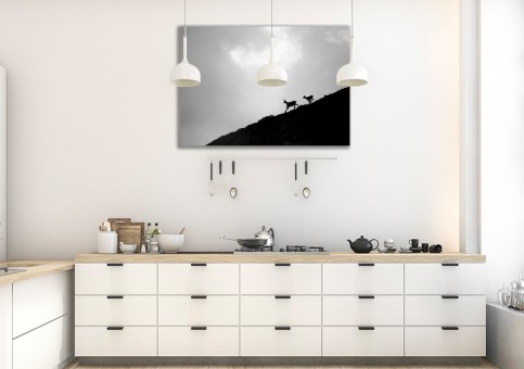 Tableaux personnalisés  Chamois 2