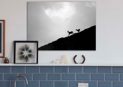 Tableaux personnalisés  Chamois 2