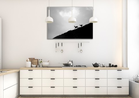 Tableaux personnalisés  Chamois 2