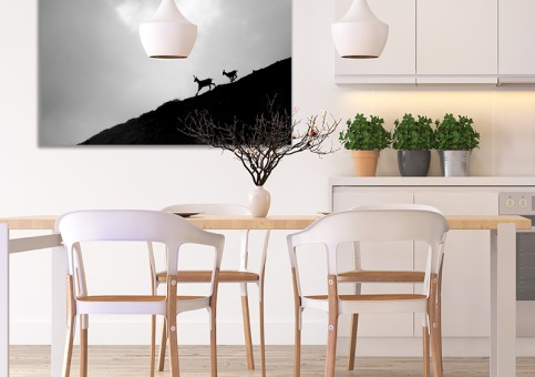 Tableaux personnalisés  Chamois 2