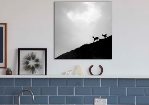 Tableaux personnalisés  Chamois 2