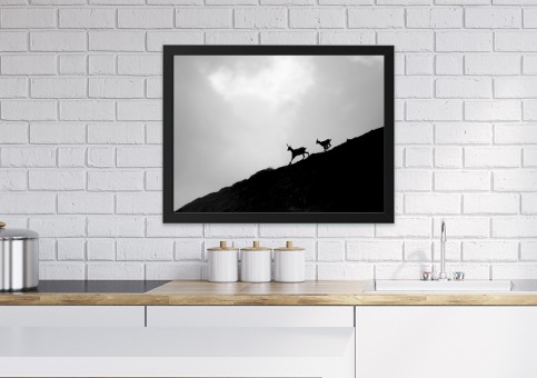 Tableaux personnalisés  Chamois 2