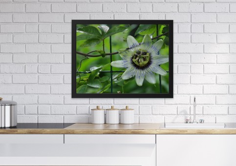 Tableaux personnalisés  Passiflore