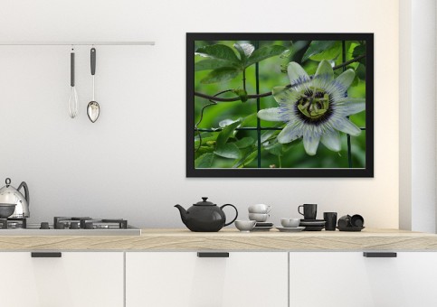 Tableaux personnalisés  Passiflore