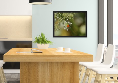 Tableaux personnalisés  Coccinelle