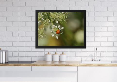 Tableaux personnalisés  Coccinelle