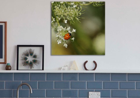 Tableaux personnalisés  Coccinelle