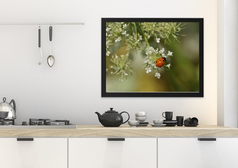 Tableaux personnalisés  Coccinelle