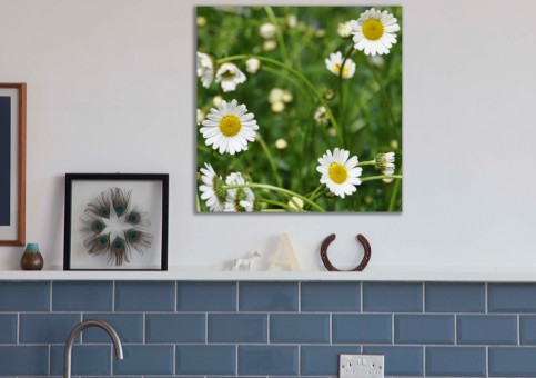 Tableaux personnalisés  Marguerites