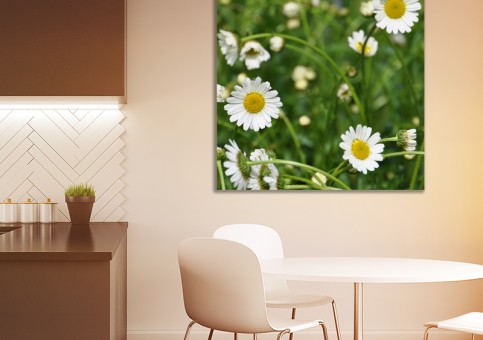 Tableaux personnalisés  Marguerites