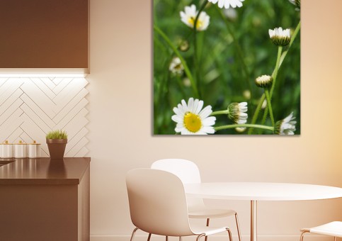 Tableaux personnalisés  Marguerites