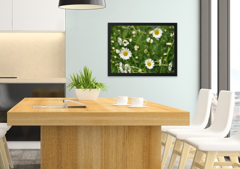 Tableaux personnalisés  Marguerites