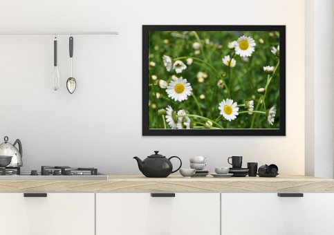 Tableaux personnalisés  Marguerites