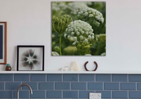 Tableaux personnalisés  Fleurs sauvages