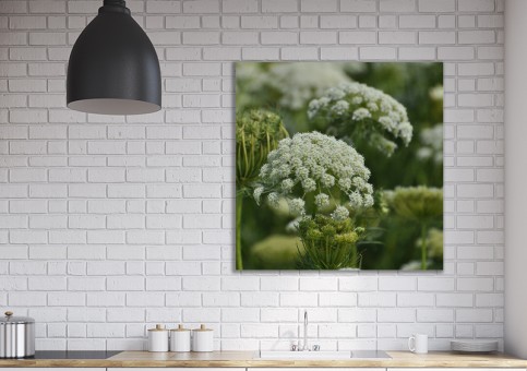 Tableaux personnalisés  Fleurs sauvages