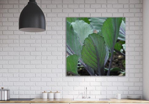 Tableaux personnalisés  Choux