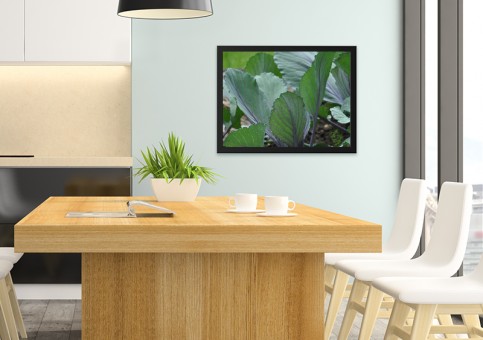 Tableaux personnalisés  Choux