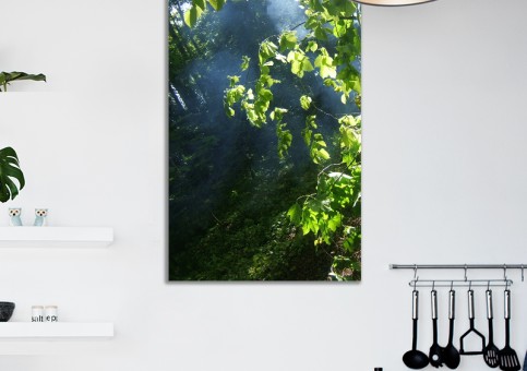 Tableaux personnalisés  Sous-bois