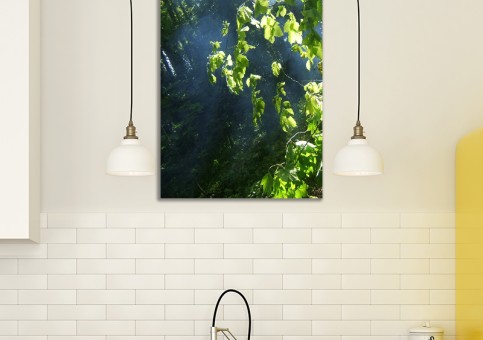 Tableaux personnalisés  Sous-bois