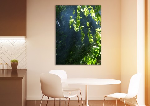 Tableaux personnalisés  Sous-bois