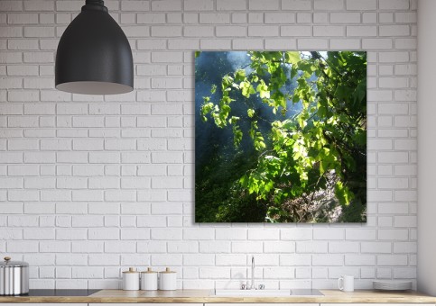 Tableaux personnalisés  Sous-bois